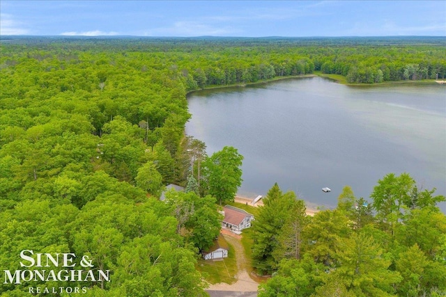 2727 Horseshoe Lake Rd, West Branch, MI 48661 - aerial view of a heavily wooded area and a nearby body of water