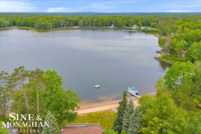 2727 Horseshoe Lake Rd, West Branch, MI 48661 - aerial view of a heavily wooded area and a large body of water