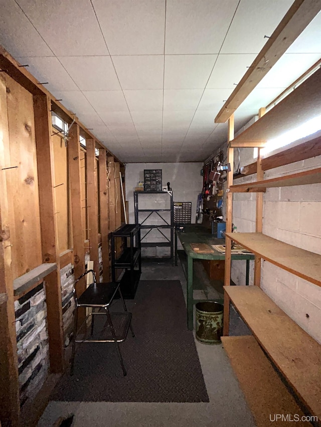 2010 Deer Lake Ave, Ishpeming, MI 49849 - view of storage area