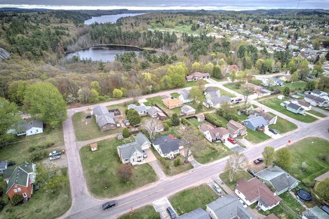 2010 Deer Lake Ave, Ishpeming, MI 49849 - aerial overview of property's location with a large body of water and nearby suburban area