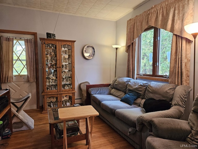 505 Pennsylvania Ave, Ontonagon, MI 49953 - living room with hardwood / wood-style floors and a baseboard radiator