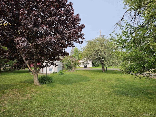 505 Pennsylvania Ave, Ontonagon, MI 49953 - view of grassy yard