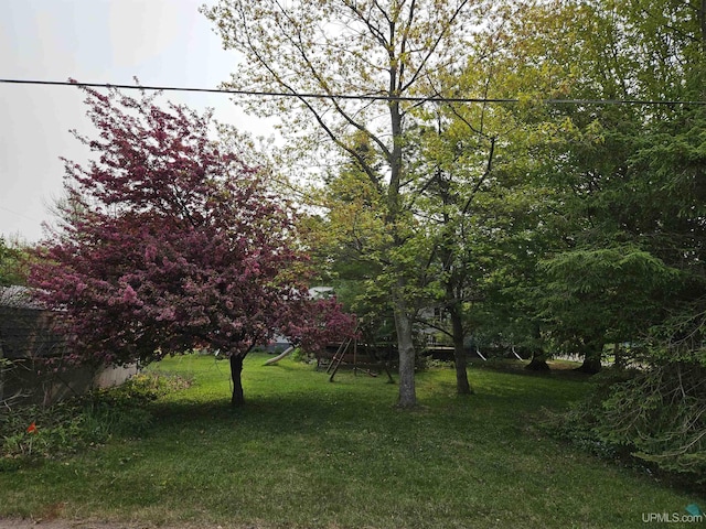 505 Pennsylvania Ave, Ontonagon, MI 49953 - view of green lawn
