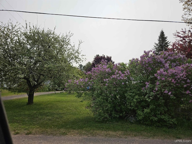 505 Pennsylvania Ave, Ontonagon, MI 49953 - view of grassy yard