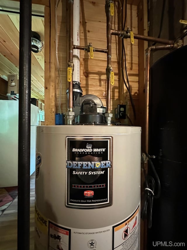 23505 Craig Lake Rd, Michigamme, MI 49861 - utility room featuring gas water heater