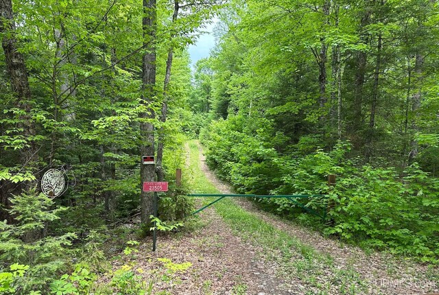 23505 Craig Lake Rd, Michigamme, MI 49861