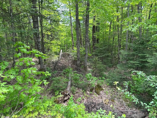 23505 Craig Lake Rd, Michigamme, MI 49861 - view of tree filled area