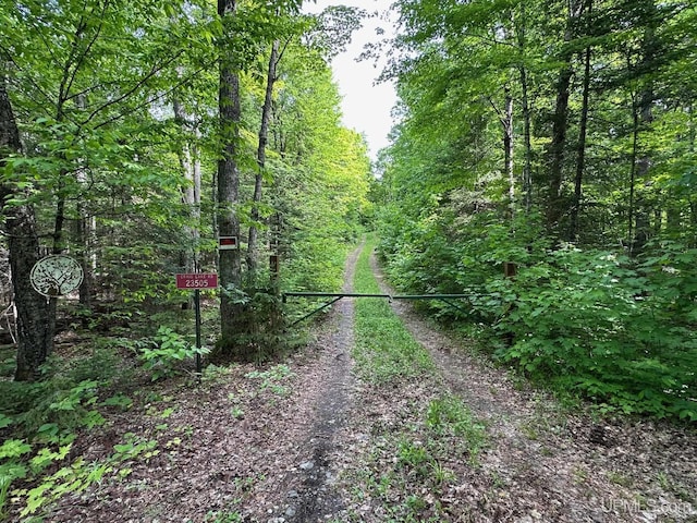 23505 Craig Lake Rd, Michigamme, MI 49861 - view of road with a view of trees