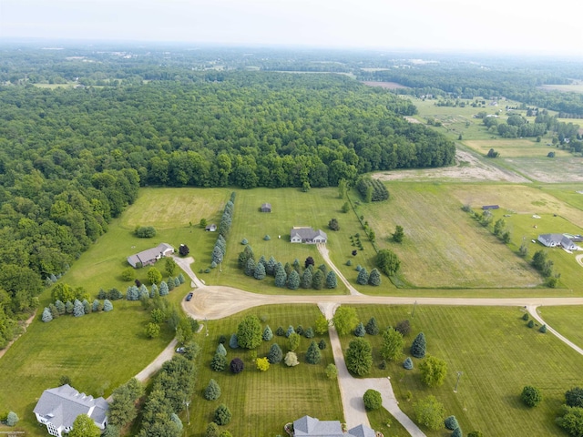 2793 Carina Dr, North Branch, MI 48461 - aerial view of property and surrounding area featuring rural landscape