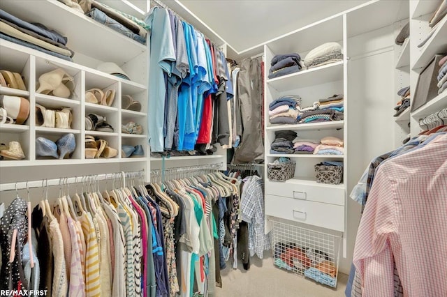 2080 Beaufait Dr, Grosse Pointe Woods, MI 48236 - view of spacious closet
