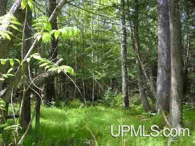LOT12 E River Dr, Lanse, MI 49946