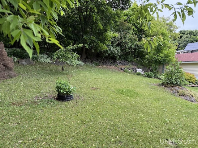 401 White St, Hancock, MI 49930 - view of green lawn
