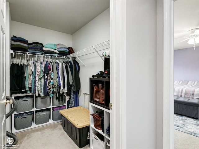 30569 Austin Ct, Chesterfield, MI 48051 - spacious closet with carpet floors and ceiling fan