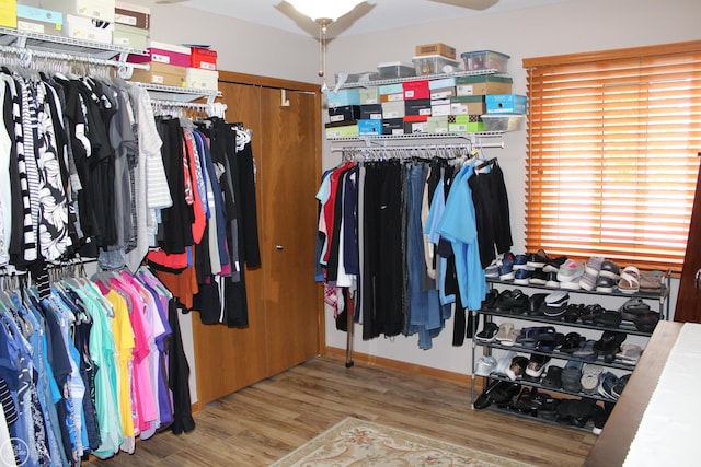 43980 Boulder Rd, Clinton Township, MI 48038 - walk in closet with wood finished floors