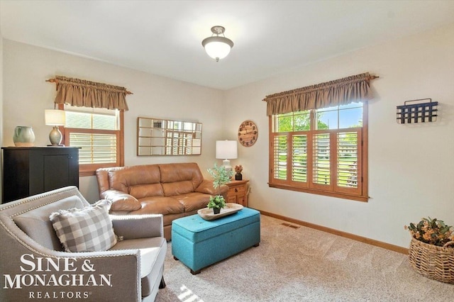 7119 Simons St, Lexington, MI 48450 - living room featuring carpet and baseboards