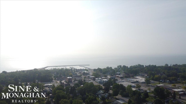 7119 Simons St, Lexington, MI 48450 - aerial view of property and surrounding area