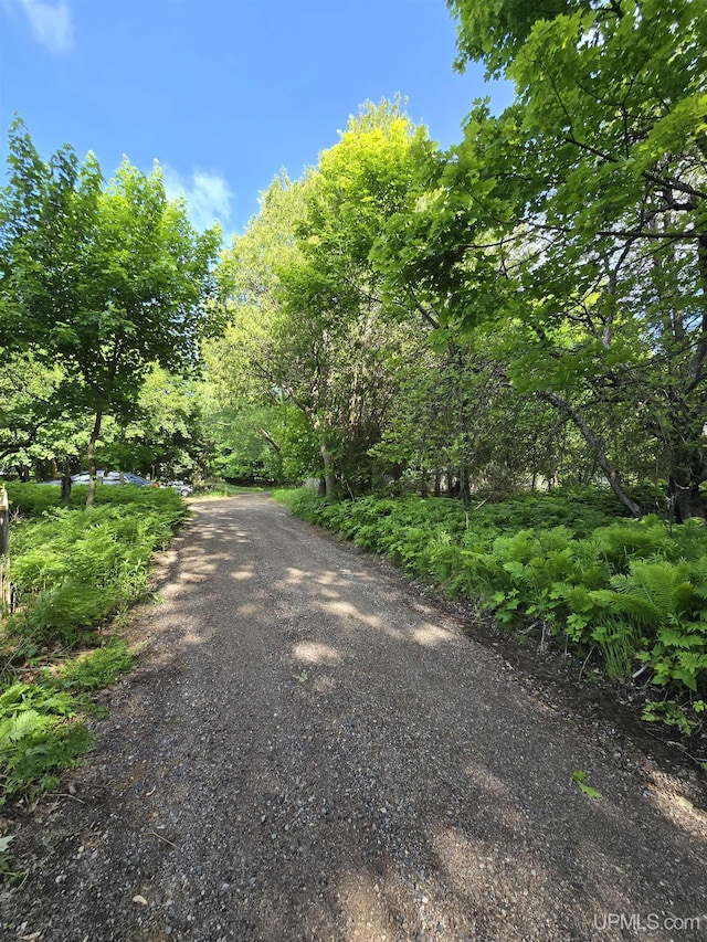 816 W Bluff St, Marquette, MI 49855 - view of road