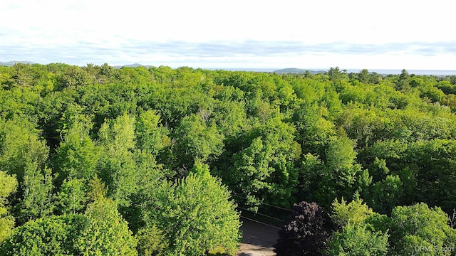 816 W Bluff St, Marquette, MI 49855 - view of nature