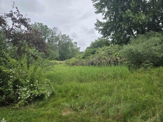 1675 Bauman Rd, Columbus, MI 48063 - view of undeveloped land