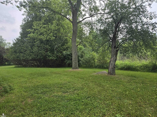 1675 Bauman Rd, Columbus, MI 48063 - view of grassy yard