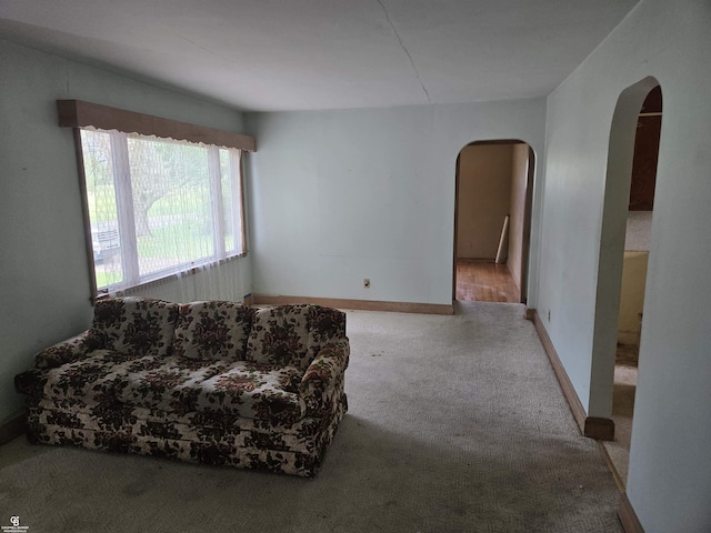1675 Bauman Rd, Columbus, MI 48063 - living area with arched walkways and carpet flooring