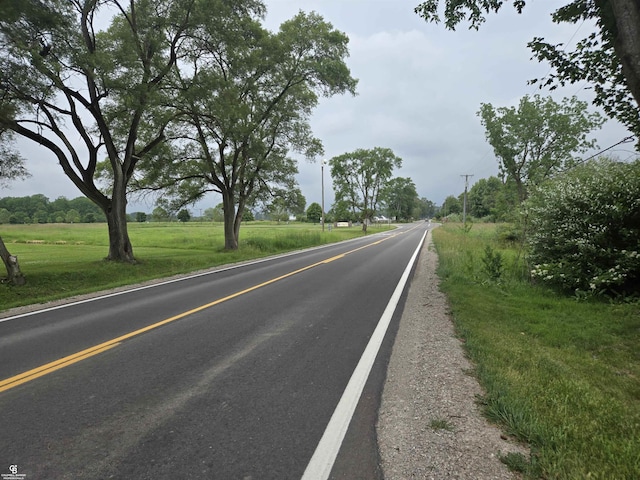 1675 Bauman Rd, Columbus, MI 48063 - view of asphalt street