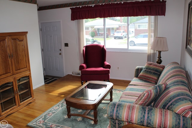 28117 Shock St, Saint Clair Shores, MI 48081 - living room featuring light wood finished floors