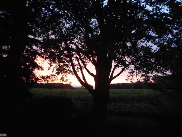 6499 Tubspring Rd, Almont, MI 48003 - view of nature at dusk