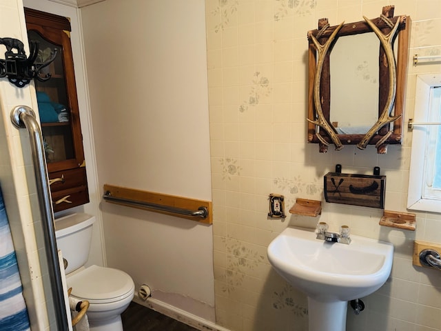 4110 Oak Ridge Dr, Harrison, MI 48625 - bathroom with toilet and a sink