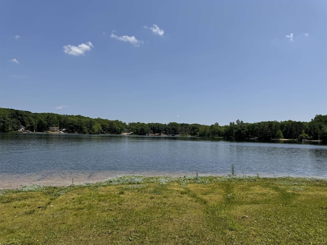 4110 Oak Ridge Dr, Harrison, MI 48625 - water view with a forest