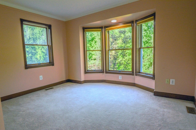 61801 Cetnor Ct, Washington, MI 48094 - empty room with plenty of natural light and carpet flooring