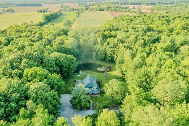 61801 Cetnor Ct, Washington, MI 48094 - overview of rural landscape with a forest