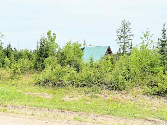 8ACRES Cable Lake Rd, Crystal Falls, MI 49920 - view of yard