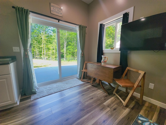 11339 Alpine Dr, Lake, MI 48632 - entryway with wood finished floors