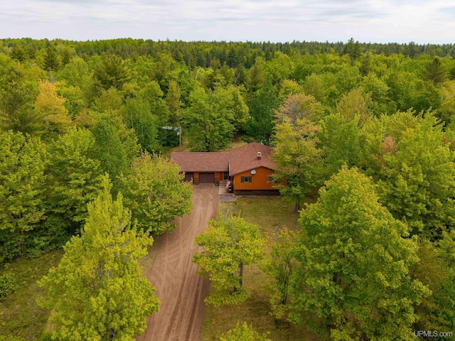 326 County Road Mp Rd, Negaunee, MI 49866 - view of subject property featuring a forest