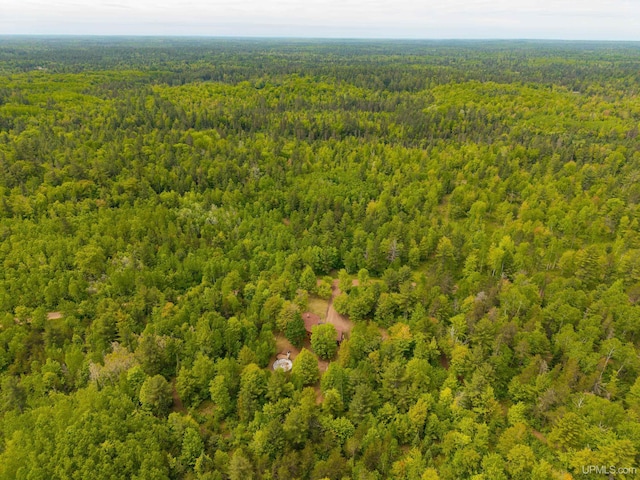 326 County Road Mp Rd, Negaunee, MI 49866 - bird's eye view of a forest
