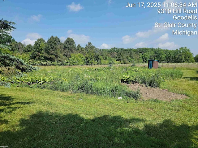 9310 Hill Rd, Wales, MI 48027 - view of green lawn with a shed