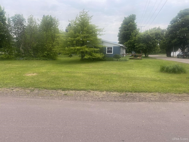 26121 S Calumet St, Laurium, MI 49913 - view of green lawn