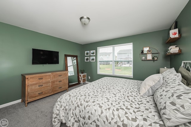 58530 Westmoore Cir, New Haven, MI 48048 - bedroom with carpet and baseboards