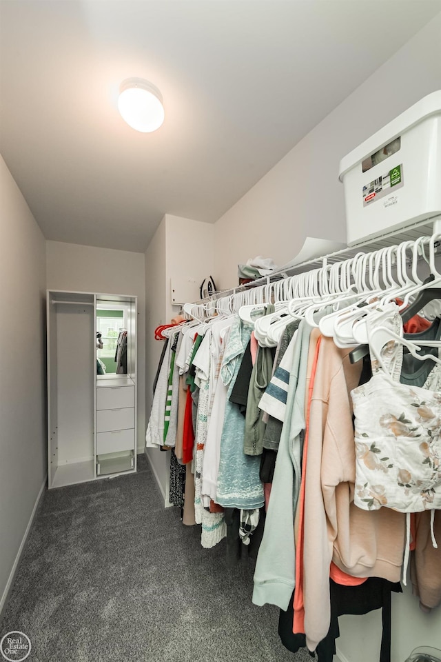 58530 Westmoore Cir, New Haven, MI 48048 - spacious closet featuring carpet