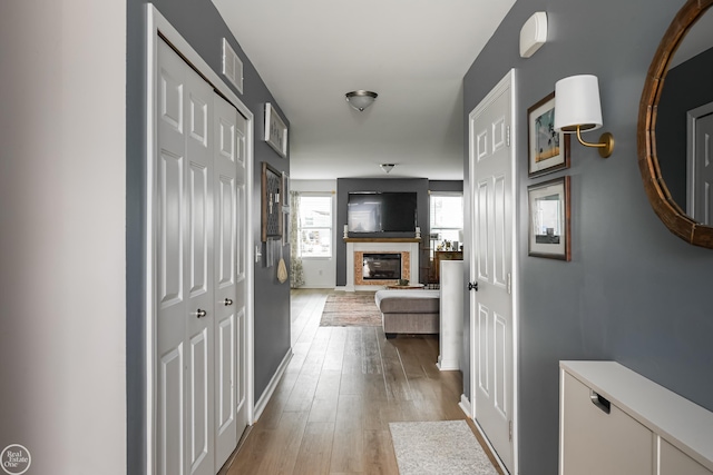 58530 Westmoore Cir, New Haven, MI 48048 - hallway with light wood-style flooring and baseboards