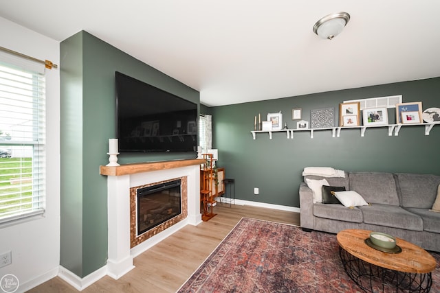58530 Westmoore Cir, New Haven, MI 48048 - living room featuring wood finished floors, plenty of natural light, and a glass covered fireplace