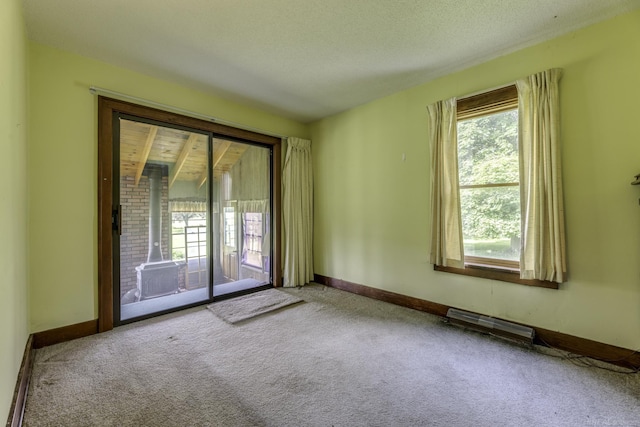 6410 Sheridan Line Rd, Croswell, MI 48422 - spare room with carpet floors and a textured ceiling
