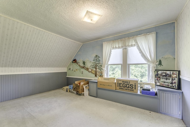 6410 Sheridan Line Rd, Croswell, MI 48422 - additional living space featuring carpet, a textured ceiling, vaulted ceiling, and wallpapered walls
