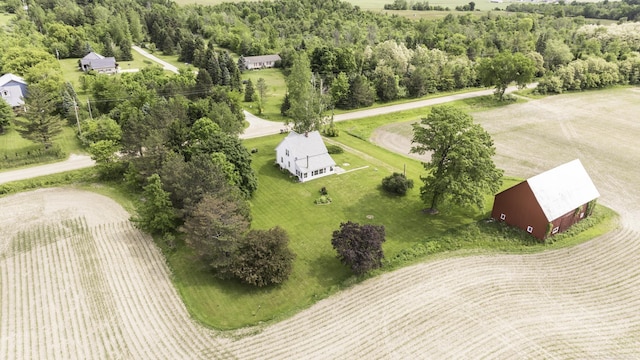 6410 Sheridan Line Rd, Croswell, MI 48422 - aerial view
