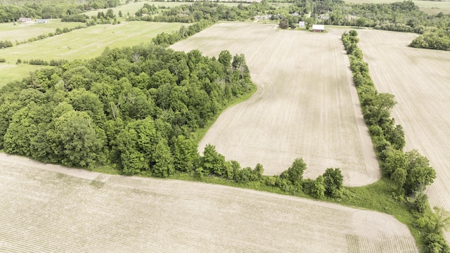 6410 Sheridan Line Rd, Croswell, MI 48422 - overview of rural landscape