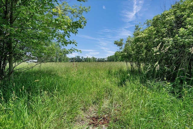 79050 Capac Rd, Armada, MI 48005 - view of undeveloped land