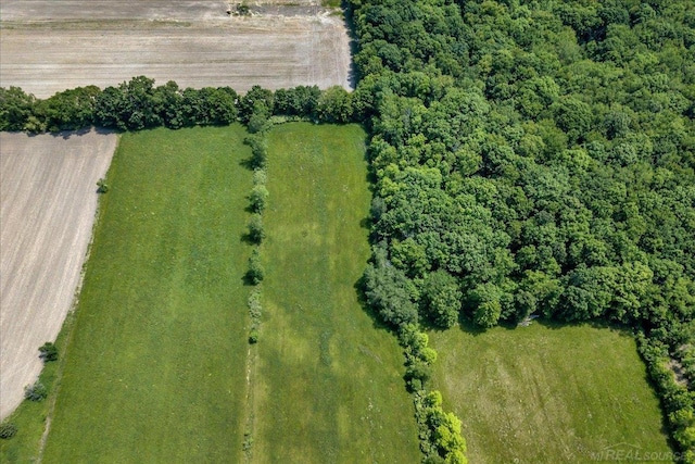 79050 Capac Rd, Armada, MI 48005 - bird's eye view
