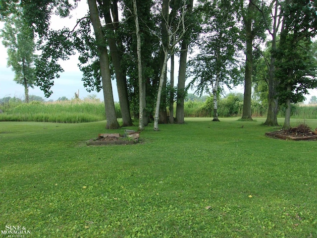 2221 N Channel Dr, Harsens Island, MI 48028 - view of green lawn