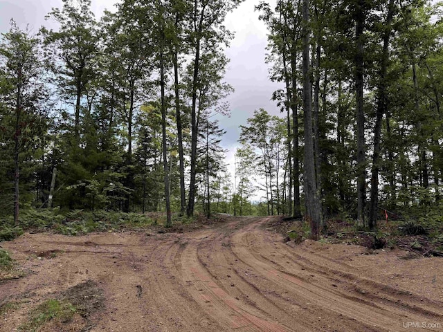 TBD Neejee Rd, Negaunee, MI 49866